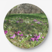 Voorbode van Spring Paper Bord (Voorkant)