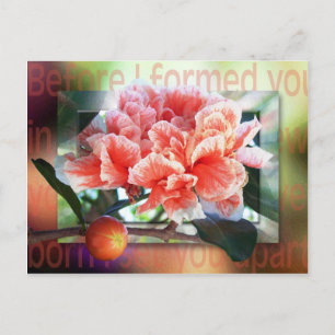 Voordat ik je formuleerde briefkaart