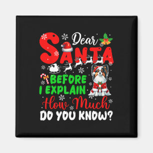 Voordat ik uitleg hoeveel je weet over Xmas Papill Magneet