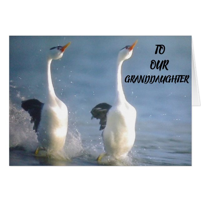 VOORDEEL VAN U **GRANDDAUGHTER** WENSEN VOOR DE TO (Voorkant Horizontaal)