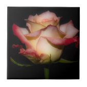 Vooreeuwig Roos Tegeltje (Voorkant)
