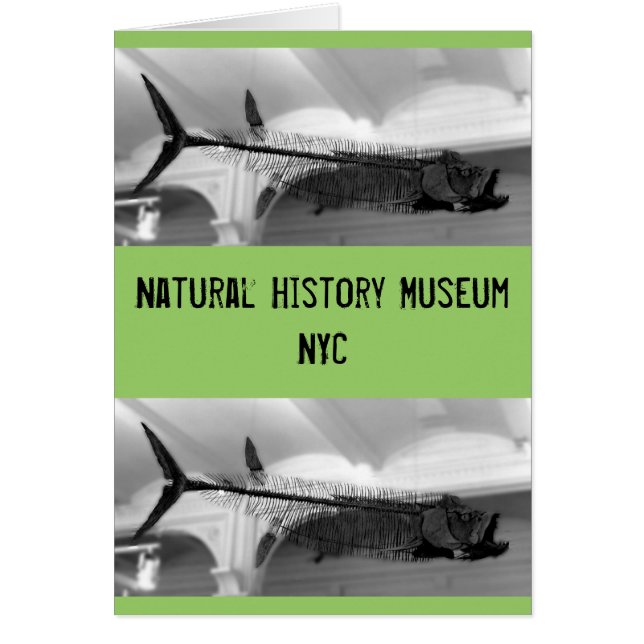 Voorhistorische vis B+W (Voorkant)