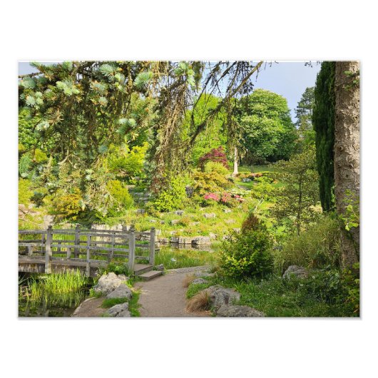 Voorjaars ochtend foto afdruk (Voorkant)