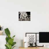 Voorjaarsbloesems van appelbloesems in zwart en wi poster (Thuiskantoor)