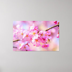 Voorjaarsfestival van de nieuwe roze Sakura bloese Canvas Afdruk