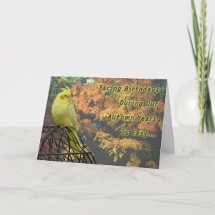 voorjaarskippen kaart