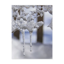 Voorjaarspictogrammen