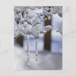 Voorjaarspictogrammen Briefkaart