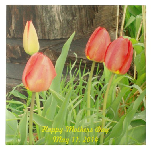 Voorjaarstijd 2 Moederdag Tegel Tegeltje (Voorkant)