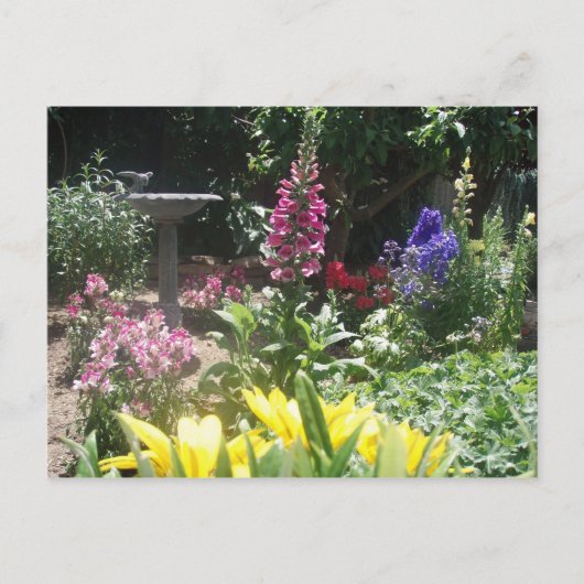 Voorjaarstuin 2009 006 briefkaart (Voorkant)