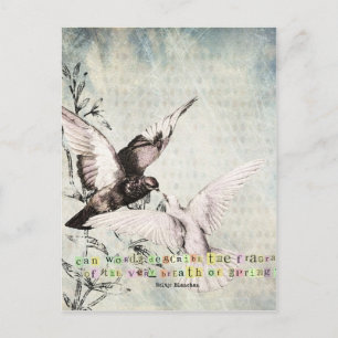 Voorjaarsvogels Briefkaart