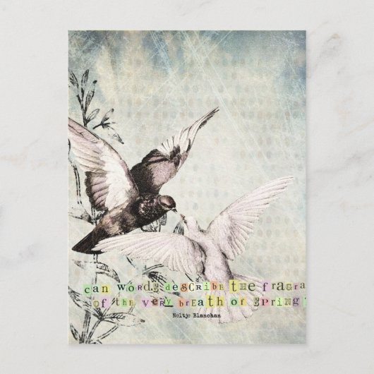 Voorjaarsvogels Briefkaart (Voorkant)