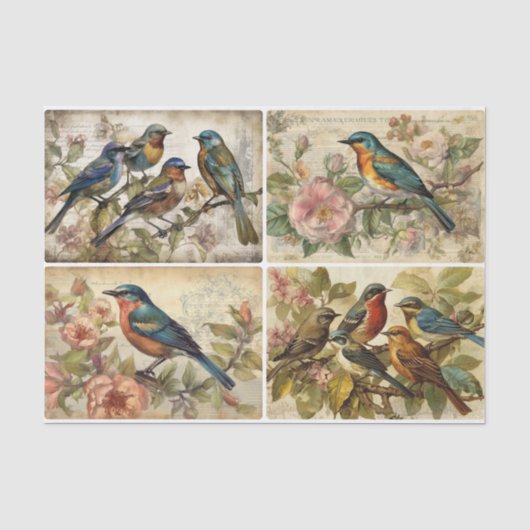 Voorjaarsvogels Tissuepapier (Voorkant)