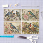 Voorjaarsvogels Tissuepapier (Craft)