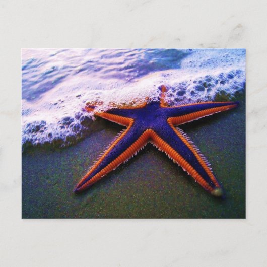 VOORKOMING BRIEFKAART (Voorkant)