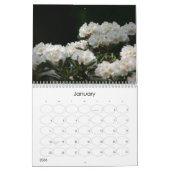 Voorlopige lente 2010 kalender (Jan 2026)