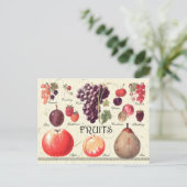 Voorruitenillustratie Briefkaart (Staand voorkant)