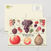 Voorruitenillustratie Briefkaart (Voorkant / Achterkant)