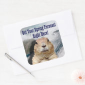 Voorspelling grondhog vierkante sticker (Envelop)
