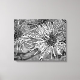 Voorste bedekte naalden canvas afdruk