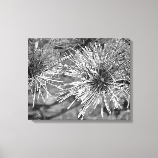 Voorste bedekte naalden canvas afdruk (Voorkant)