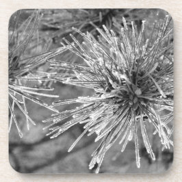 Voorste bedekte naalden in zwart-wit bier onderzetter