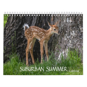 voorstedelijke zomer kalender