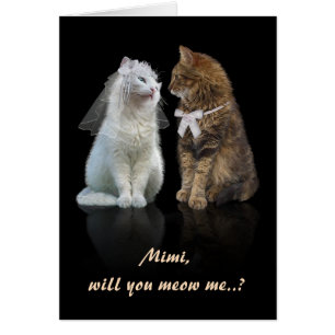 Voorstel voor kattenliefhebbers