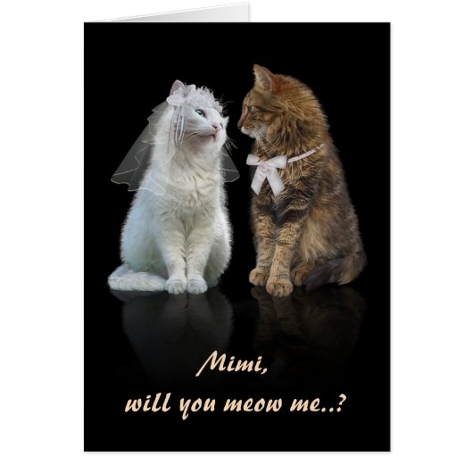 Voorstel voor kattenliefhebbers (Voorkant)