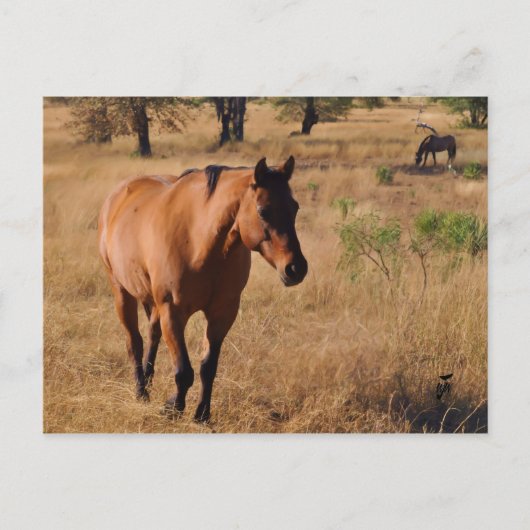 voortgaan aankondigingskaart (Voorkant)