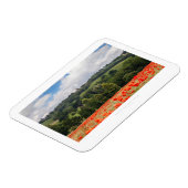 Vooruit op de wereld magneet (Linkerzijde)