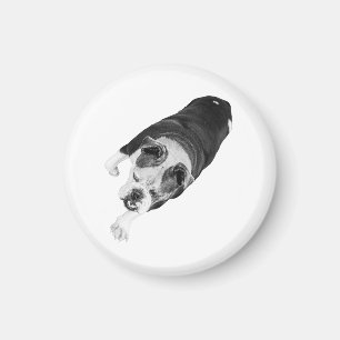 Vooruitstrevende hond voegt momentum toe aan vakan magneet