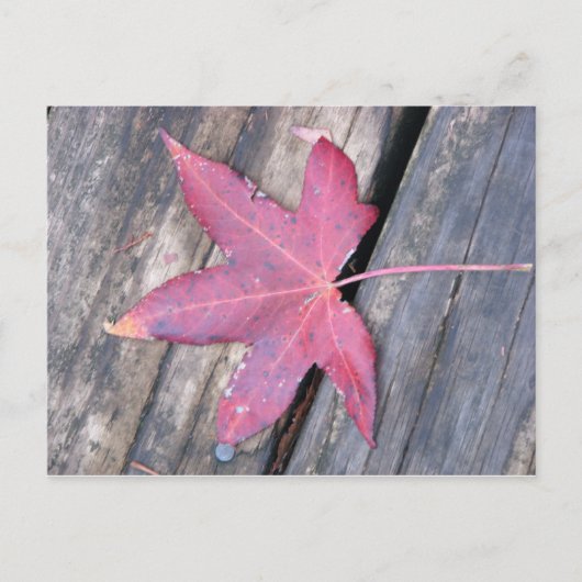 voorzichtig briefkaart (Voorkant)