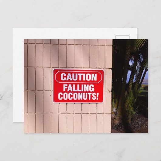 Voorzichtig - Falling Coconuts! Briefkaart (Voorkant / Achterkant)