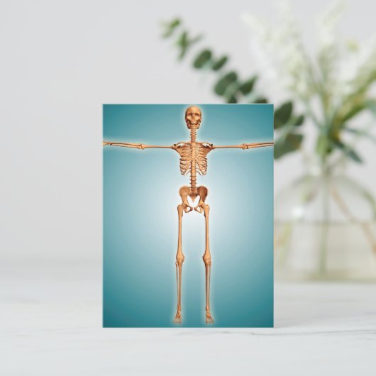 Voorzijde Uitzicht van het skeletstelsel van de me Briefkaart (Staand voorkant)