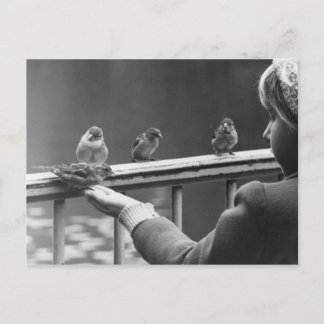 Vorm een ordelijke rij briefkaart