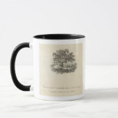 Vorm waarin William Penn Mok (Links)