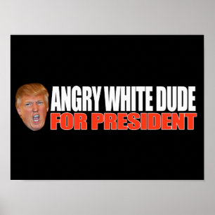 VORMIGE WITTE VOOR PRESIDENT - .png Poster