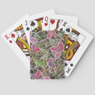 Vorst bedekte bladeren, Canada Pokerkaarten
