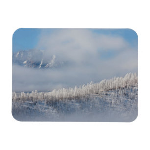 Vorst en mist in de bergen magneet