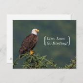 Vorstelijk Kaal Eagle Briefkaart (Voorkant / Achterkant)