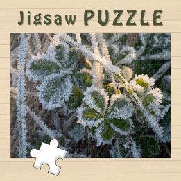 Vorstig Ijs covert Winter Bladeren esthetische Fot Legpuzzel