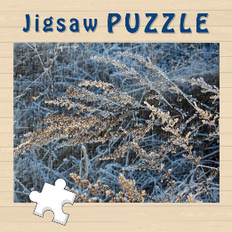 Vorstig Ijs covert Winter Gras esthetische Foto Legpuzzel