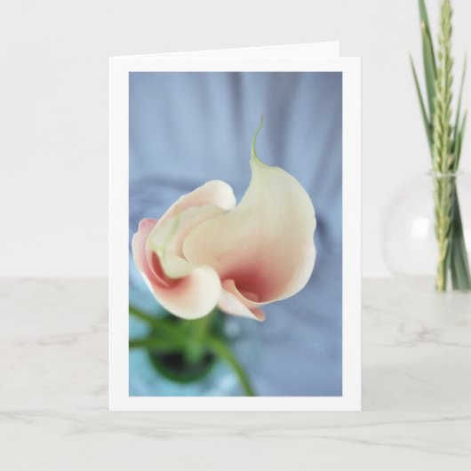 Vortex Blanc Calla Lily Art Photo Cartes (Devant)