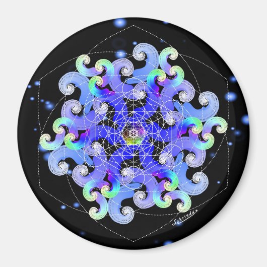 Vortex of Vitality Magneet (Voorkant)