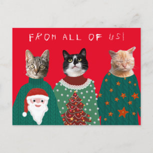 Vos 3 chats dans les affreux pulls de Noël Carte p