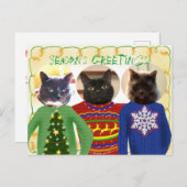 Vos 3 chats dans une carte postale de Noël moche (Devant / Derrière)