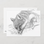 vos 59 briefkaart (Voorkant / Achterkant)