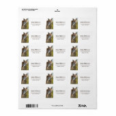 Vos Adres  Etiket (Full Sheet)