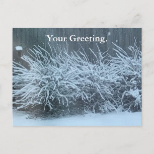 Vos Cartes Postales Couvertes De La Neige